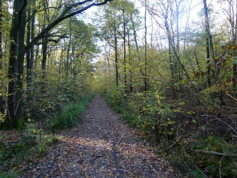 Land for sale in Russ Hill, RH6