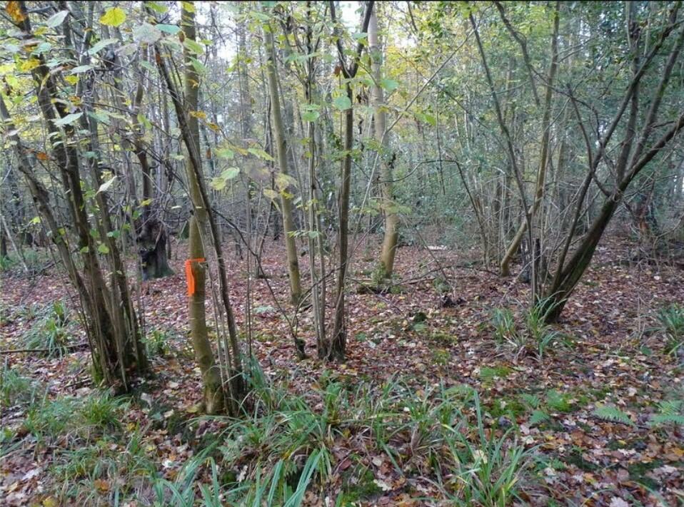 Land for sale in Russ Hill, RH6