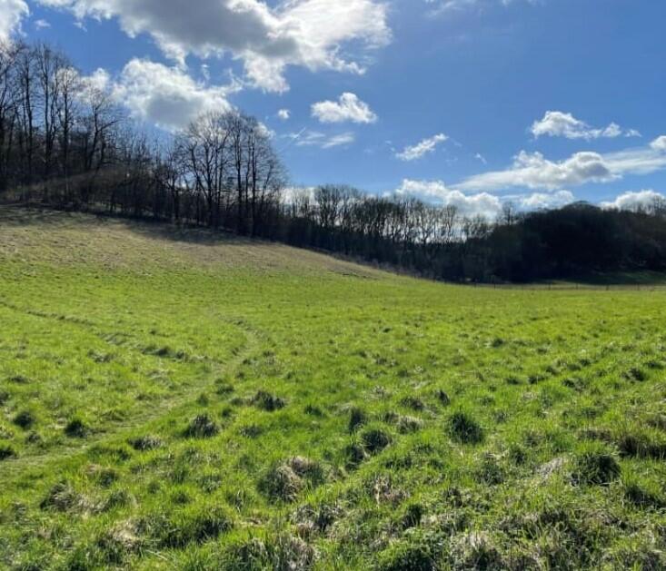 Land for sale in New Barn Lane, Orpington, Kent, TN16