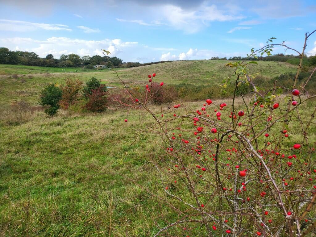 Main image of property: Great Lane, MK45