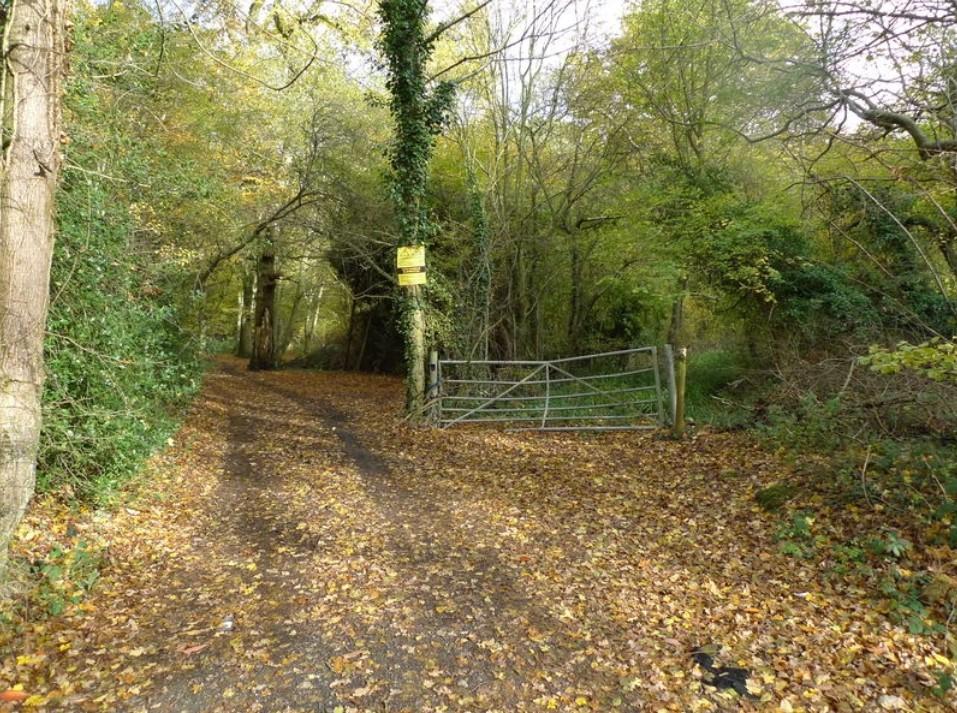 Land for sale in Glovers Wood, Charlwood Lane, Charlwood, Surrey