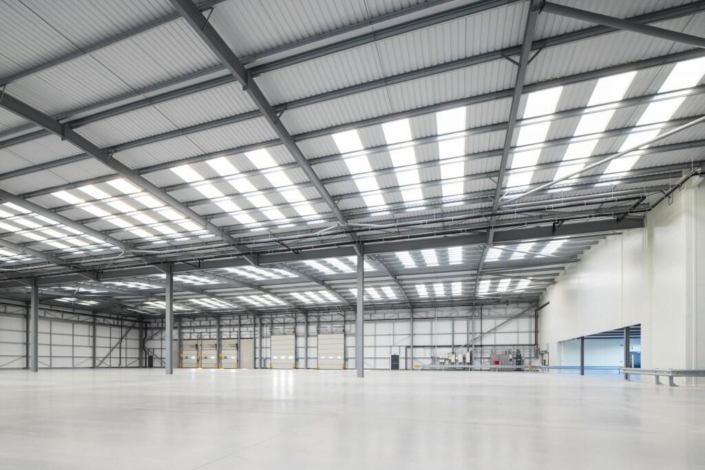 _DLP3258 IND David Lee Photography Ltd copy.jpg