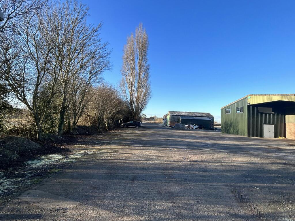 Side yard 3 5081.jpg