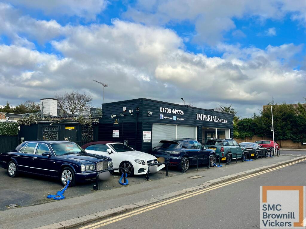 Untitled design (15).jpg