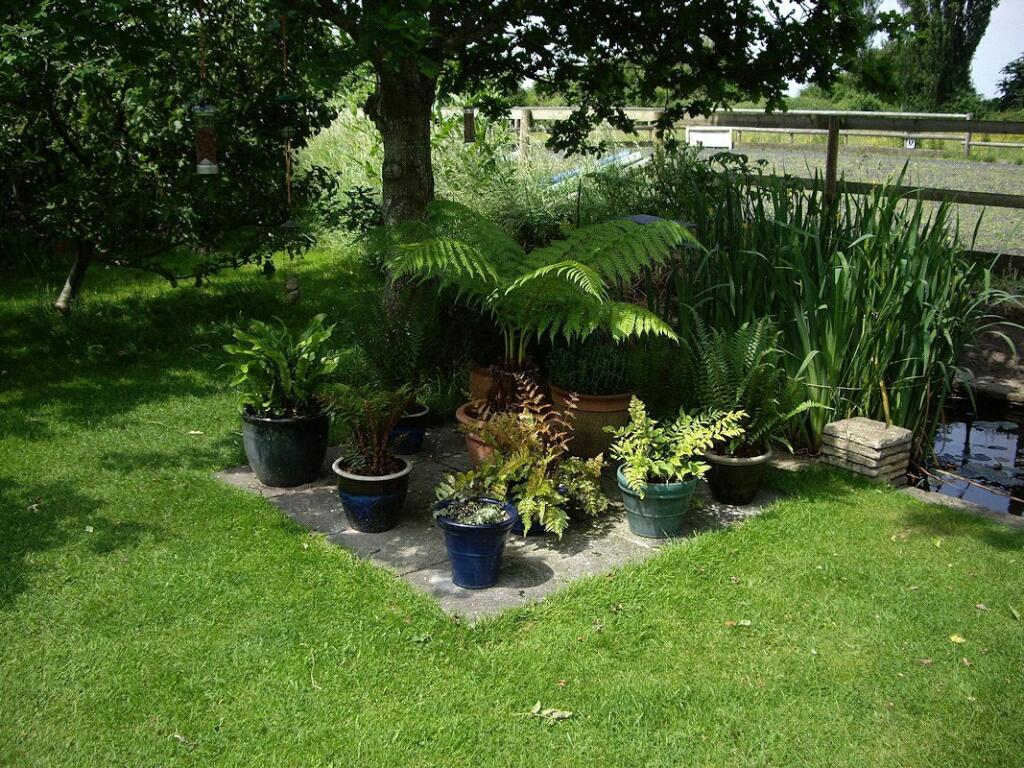 Additional property image - Waterman's Bow, Hewish, Weston Super Mare, Bristol, BS24