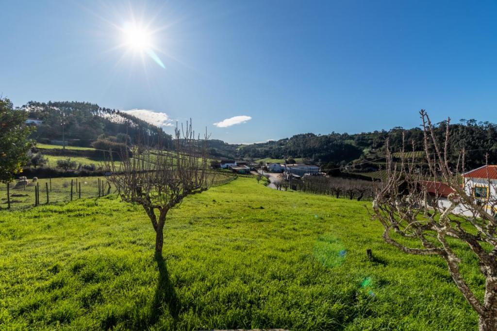 House for sale in Leiria, Turquel, Portugal