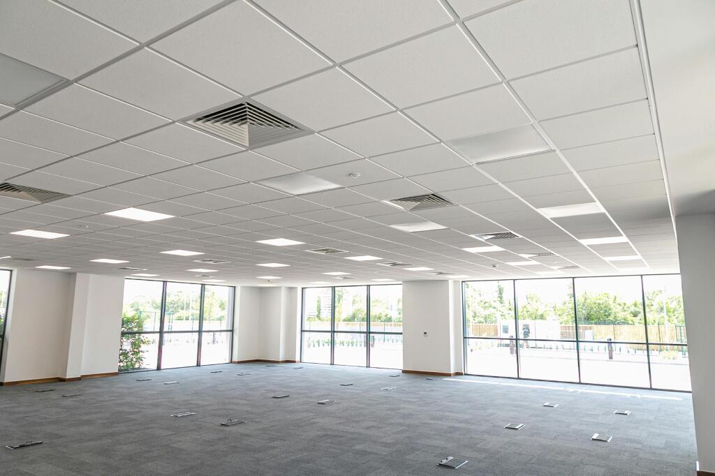 IMG_9004 resized.jpg