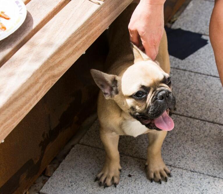 Main image of property: Rehersal Rooms, Victoria Road