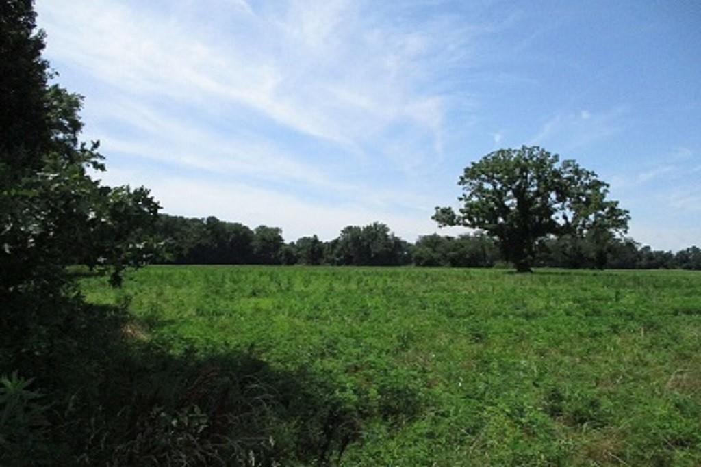 Land for sale in Melfa, County, Virginia, USA