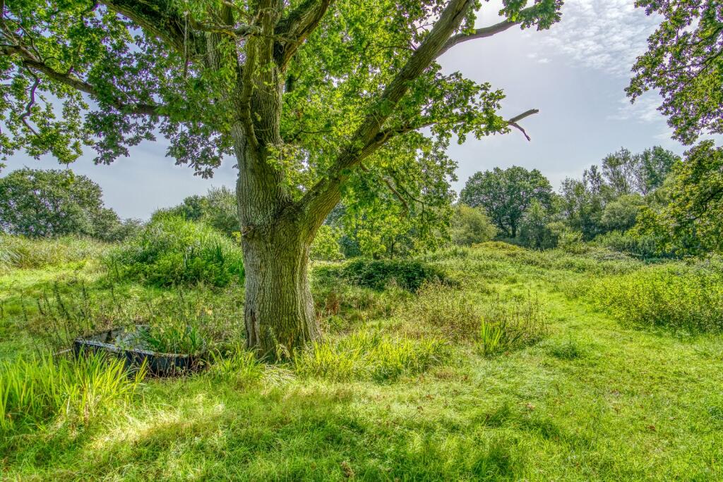 Additional property image - Blandford Road North,, Beacon Hill, Dorset, BH16