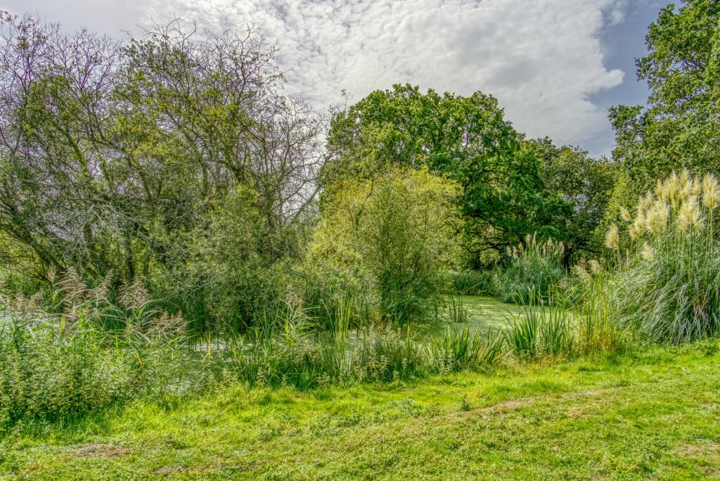 Additional property image - Blandford Road North,, Beacon Hill, Dorset, BH16
