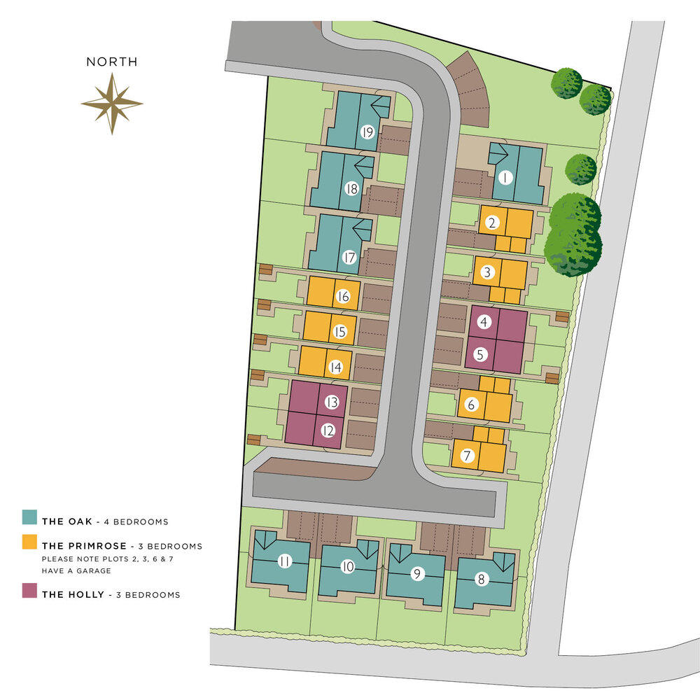 Site Plan