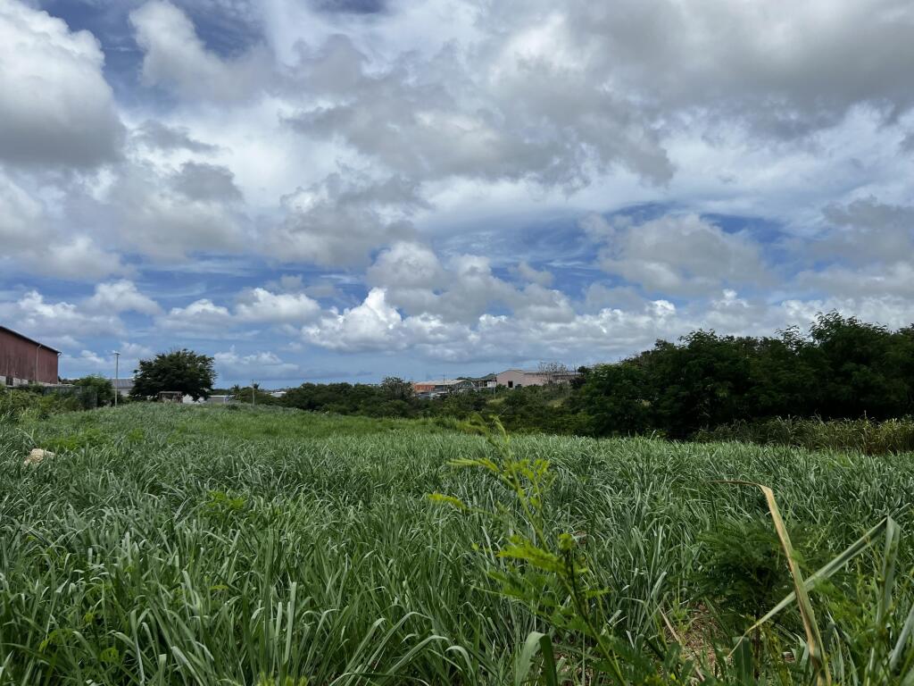 Main image of property: Barbados
