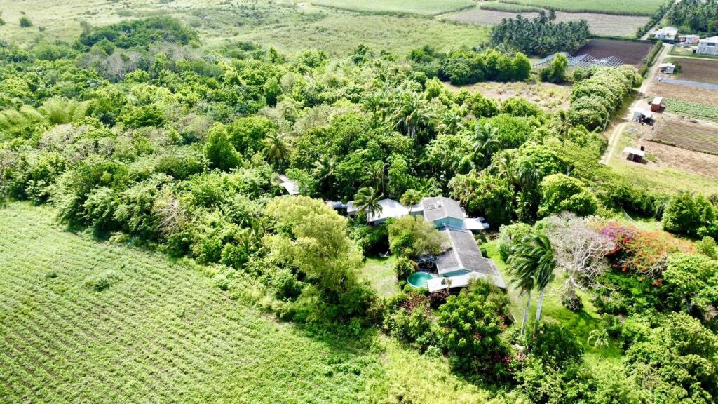 Main image of property: Barbados