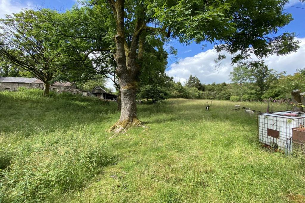 3 bedroom smallholding for sale in Clydach Dingle, Brynmawr, Ebbw Vale ...