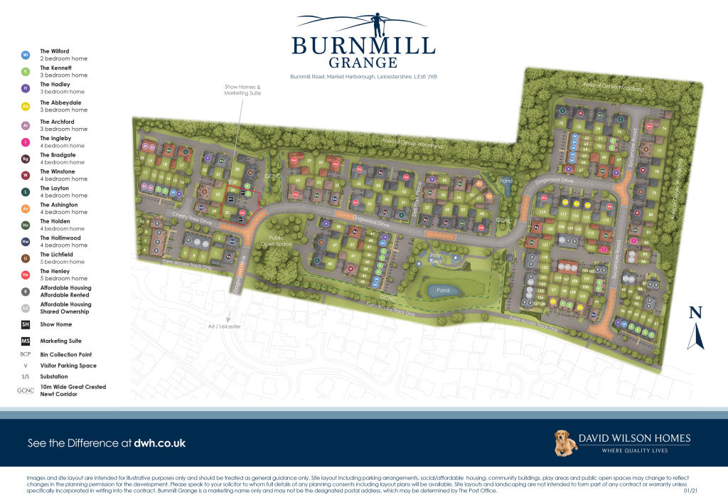 Site Plan