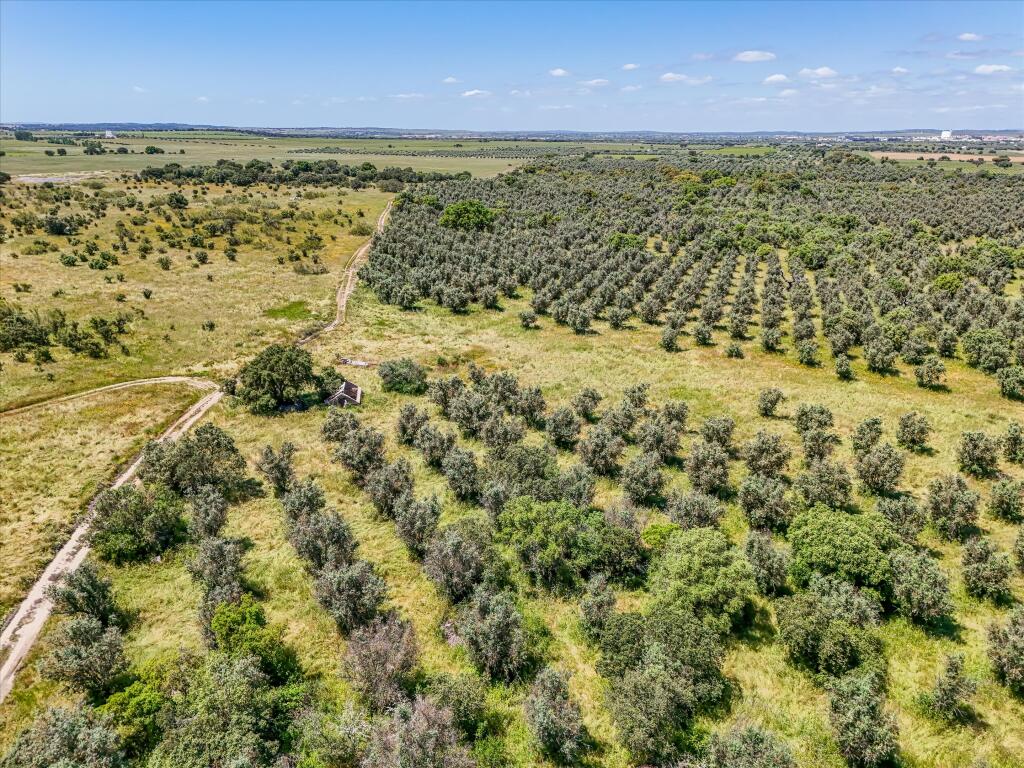 Main image of property: Alto Alentejo, Reguengos de Monsaraz