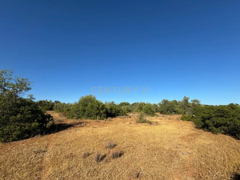 Main image of property: Algarve, Santa Catarina da Fonte do Bispo