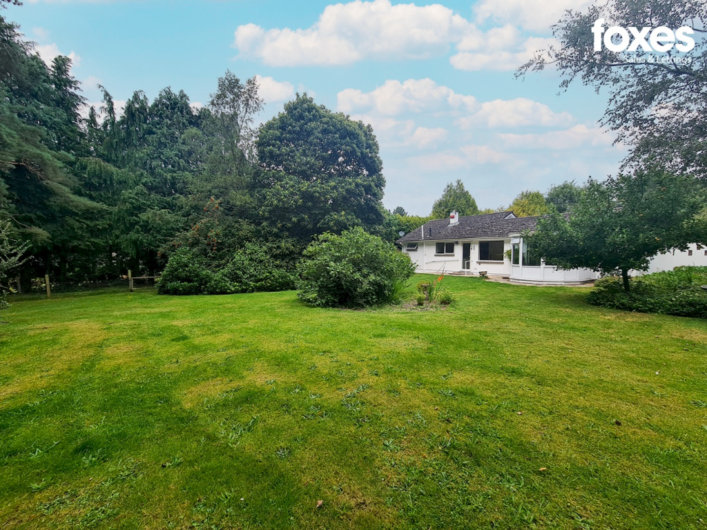 Additional property image - Wayside Road, St. Leonards, Ringwood, Dorset, BH24 2SJ