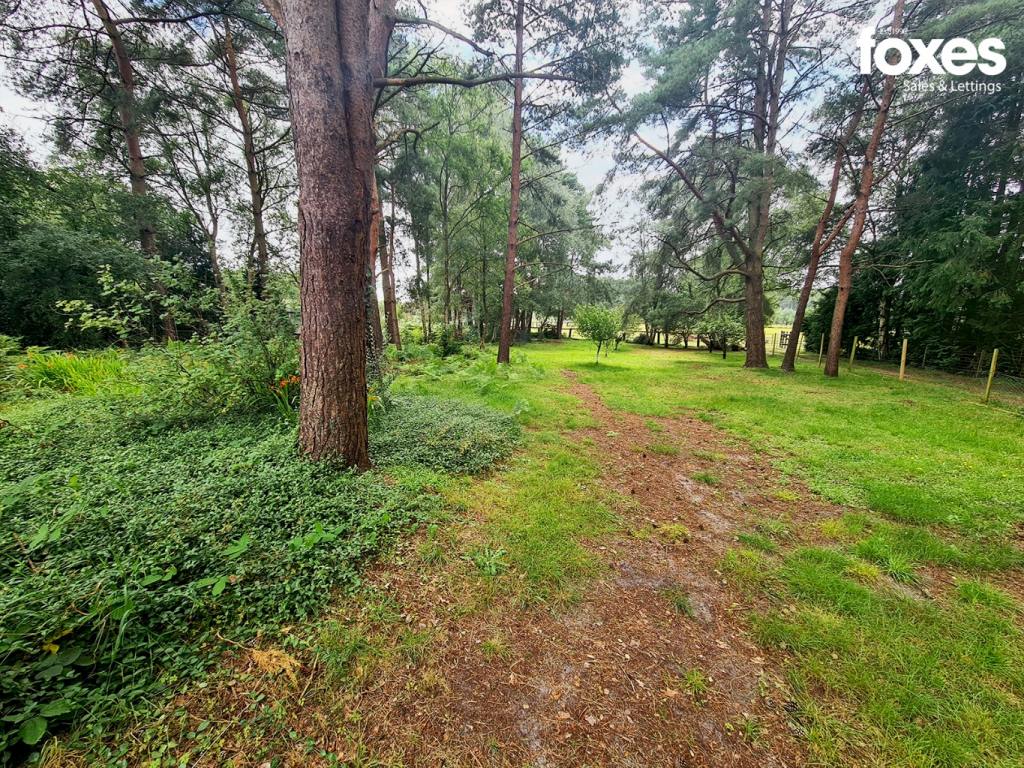Additional property image - Wayside Road, St. Leonards, Ringwood, Dorset, BH24 2SJ