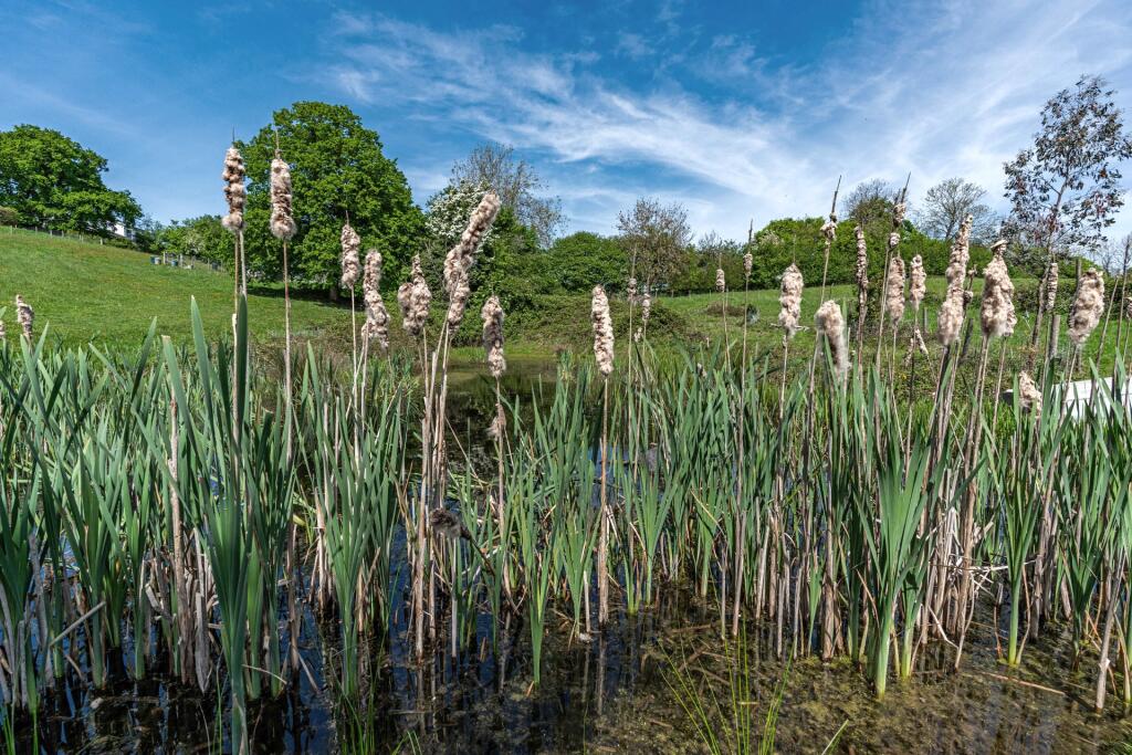 Additional property image - Langley, Stratford-upon-Avon