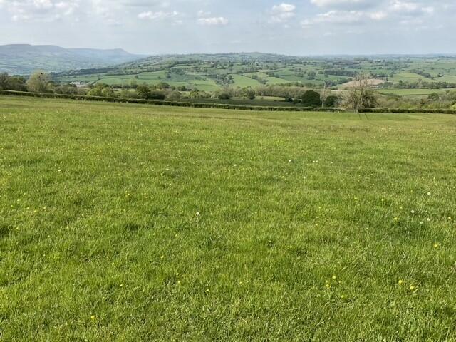Main image of property: Agricultural Land, Campston, Pandy, Abergavenny, NP7 8EE