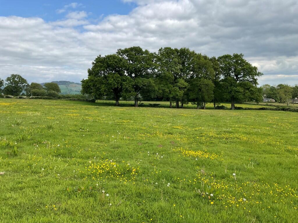 Main image of property: Lot 3:  Pentre Barns, Llangattock Lingoed, Monmouthshire 