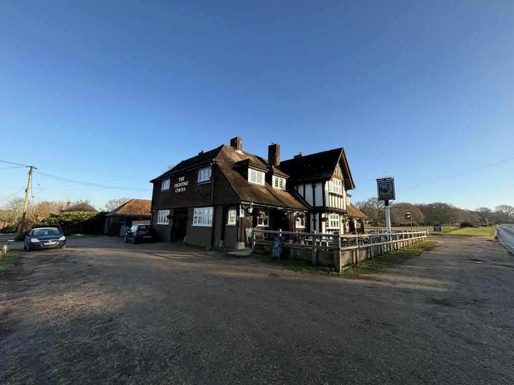 Photo 18 47 AM 1.jpg