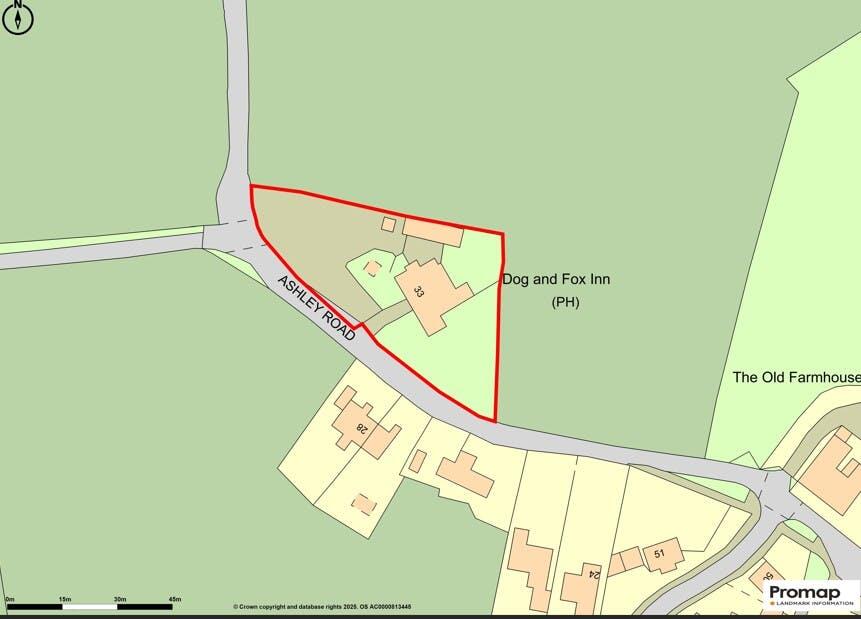 Red Line Dog and Fox.jpg