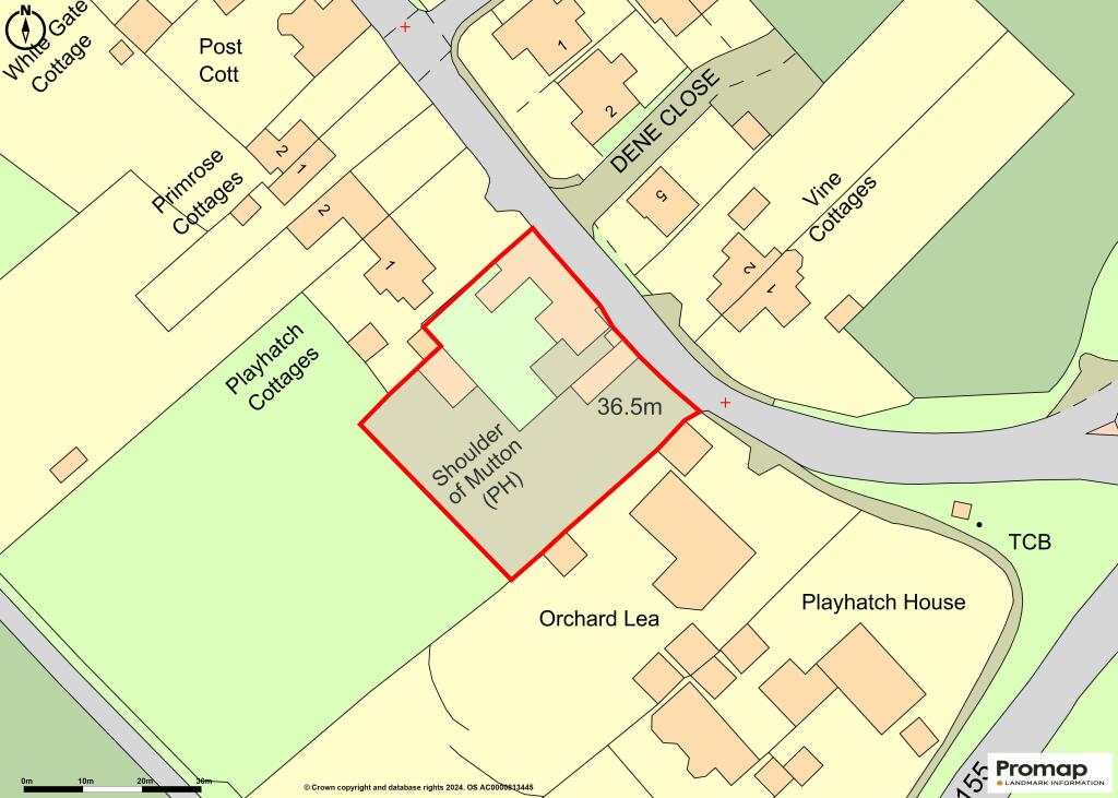 Shoulder Of Mutton Playhatch  OS Map.jpg