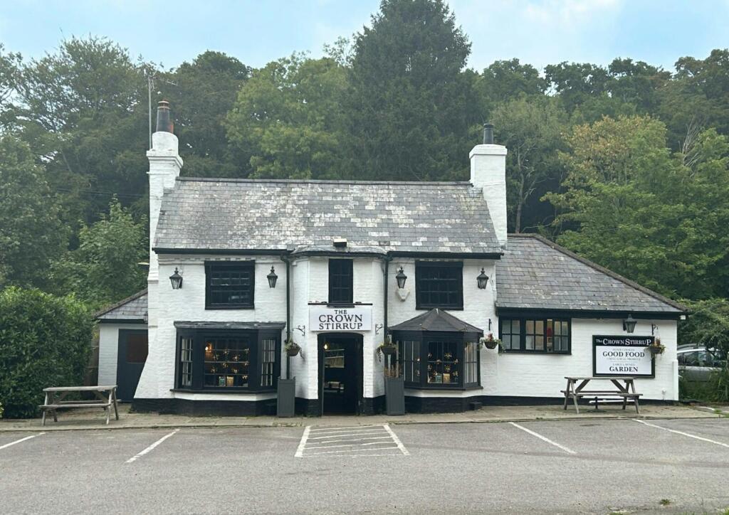 Crown  Stirrup Lyndhurst .jpeg