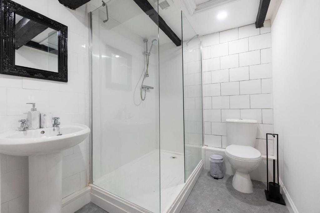 ancient unicorn 3.jpg