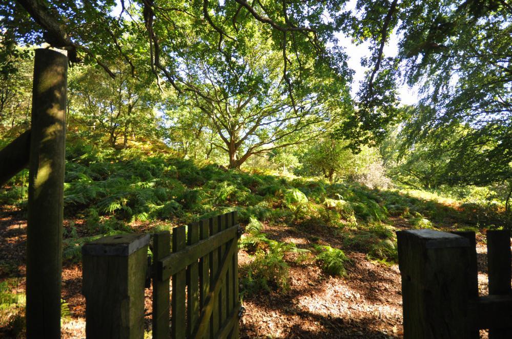 3 bedroom house for sale in Mockbeggar, Ringwood, BH24 3NQ, BH24