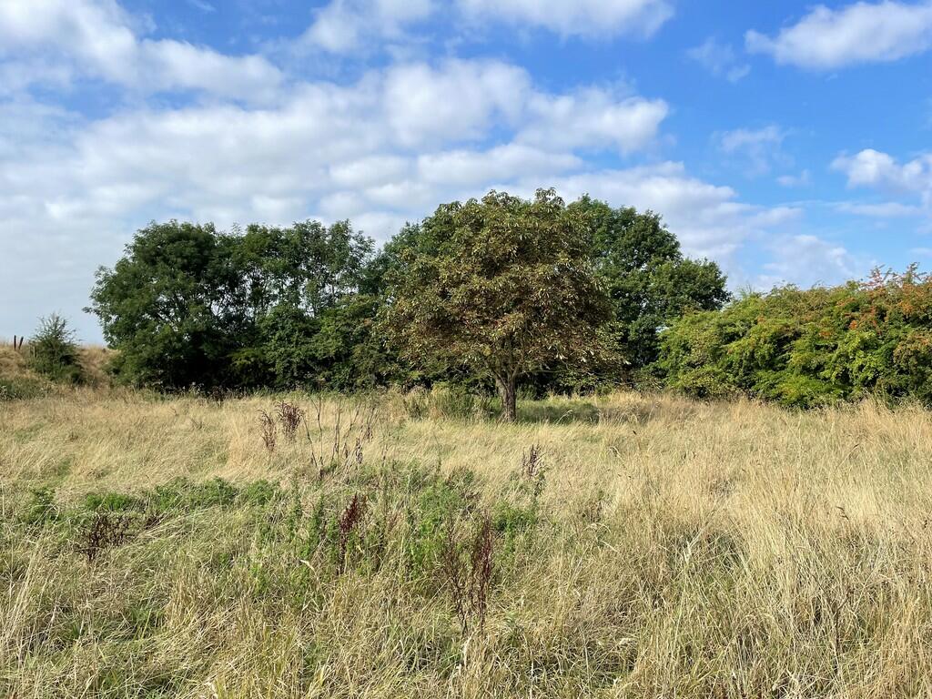 Farm land for sale in Bourne Road, West Pinchbeck, PE10