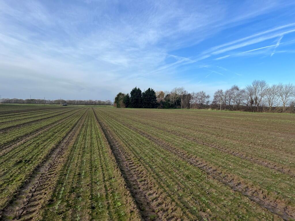 Main image of property: Grade 1 Arable Land