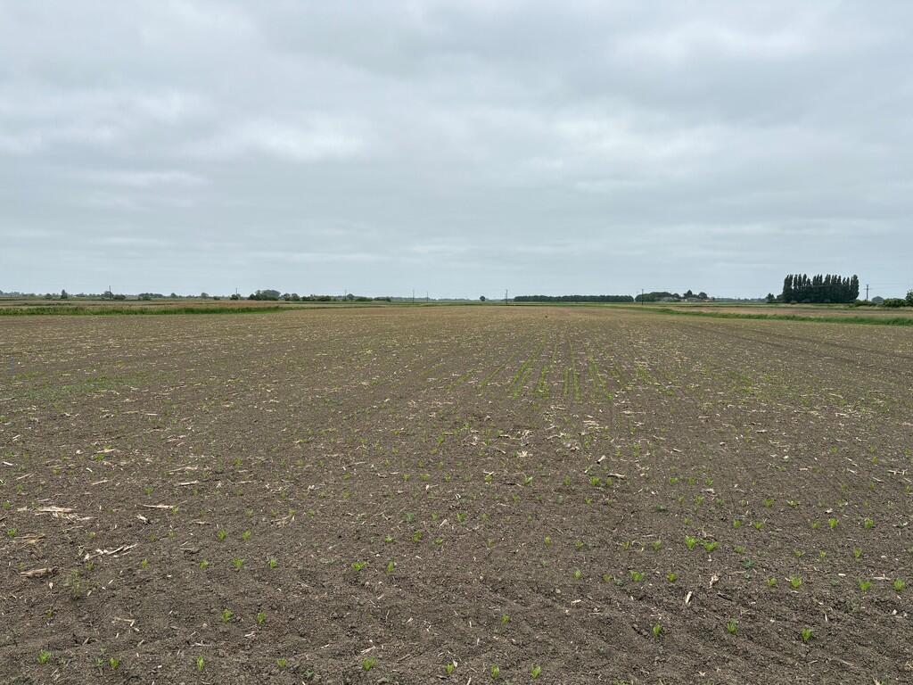 Main image of property: Agricultural Land off Dowsdale Bank, Crowland