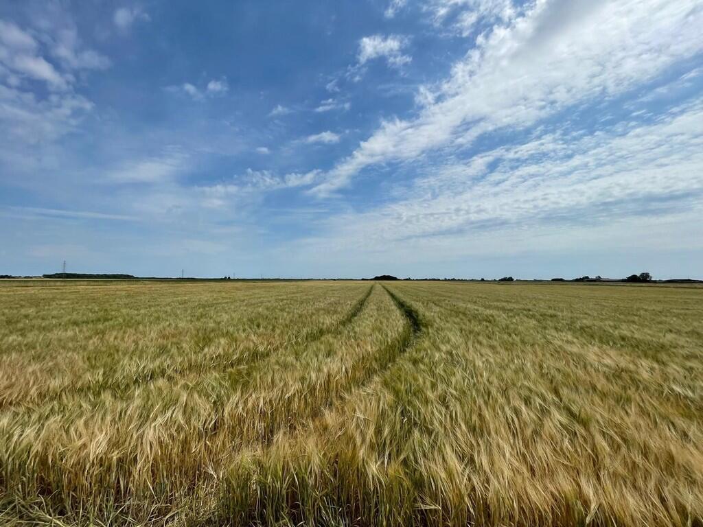 Main image of property: Bells Farm, Meres Drove, Old Leake, Boston