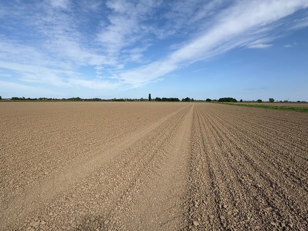 Main image of property: Grade 1 and Grade 2 Arable Land, Park Lane, Swineshead