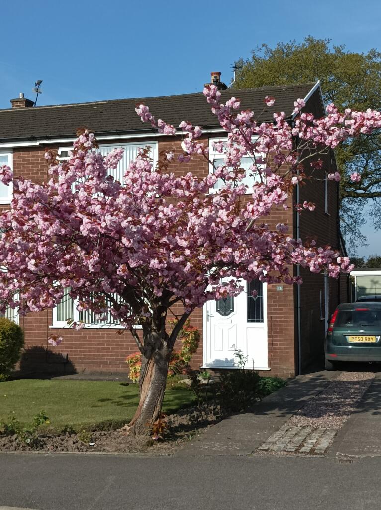 Main image of property: Churchfield, Shevington, Wigan