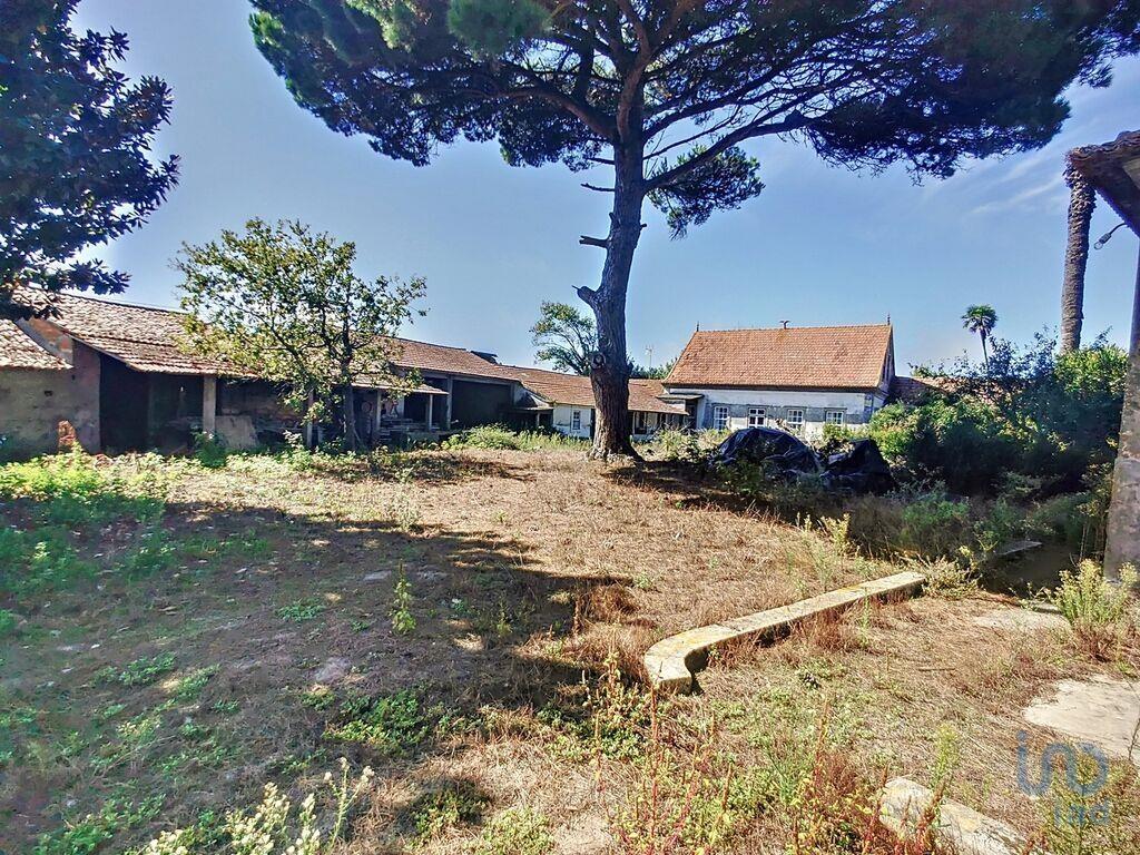 Farm for sale in Aveiro, Murtosa, Portugal