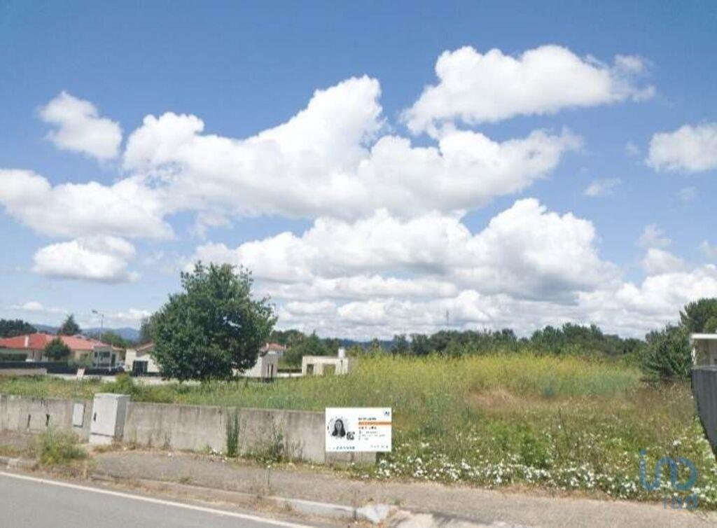 Land in Minho, Mazedo for sale