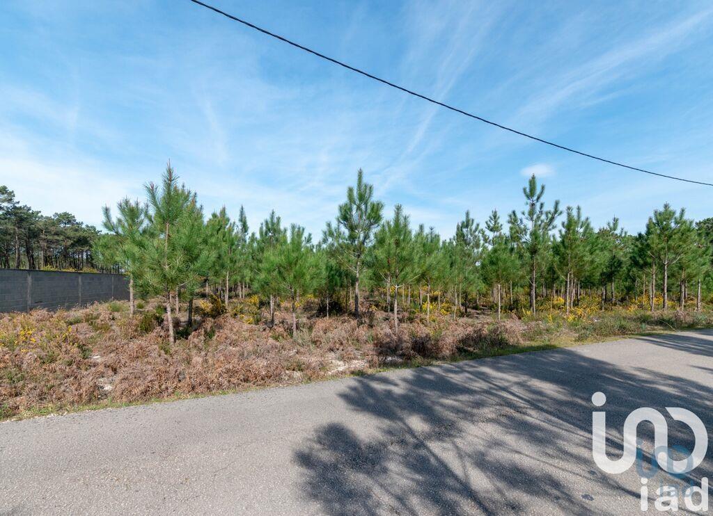 Main image of property: Leiria, Marinha Grande