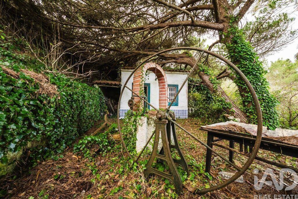 Main image of property: Leiria, Foz do Arelho