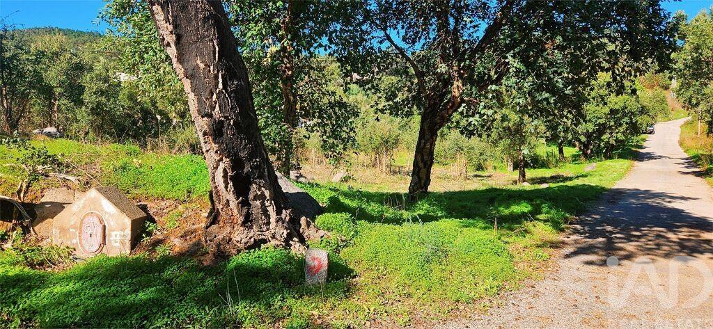 Main image of property: Algarve, Monchique