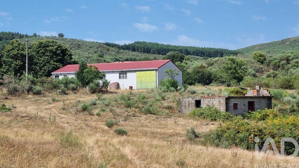 Main image of property: Beira Alta, Celorico da Beira