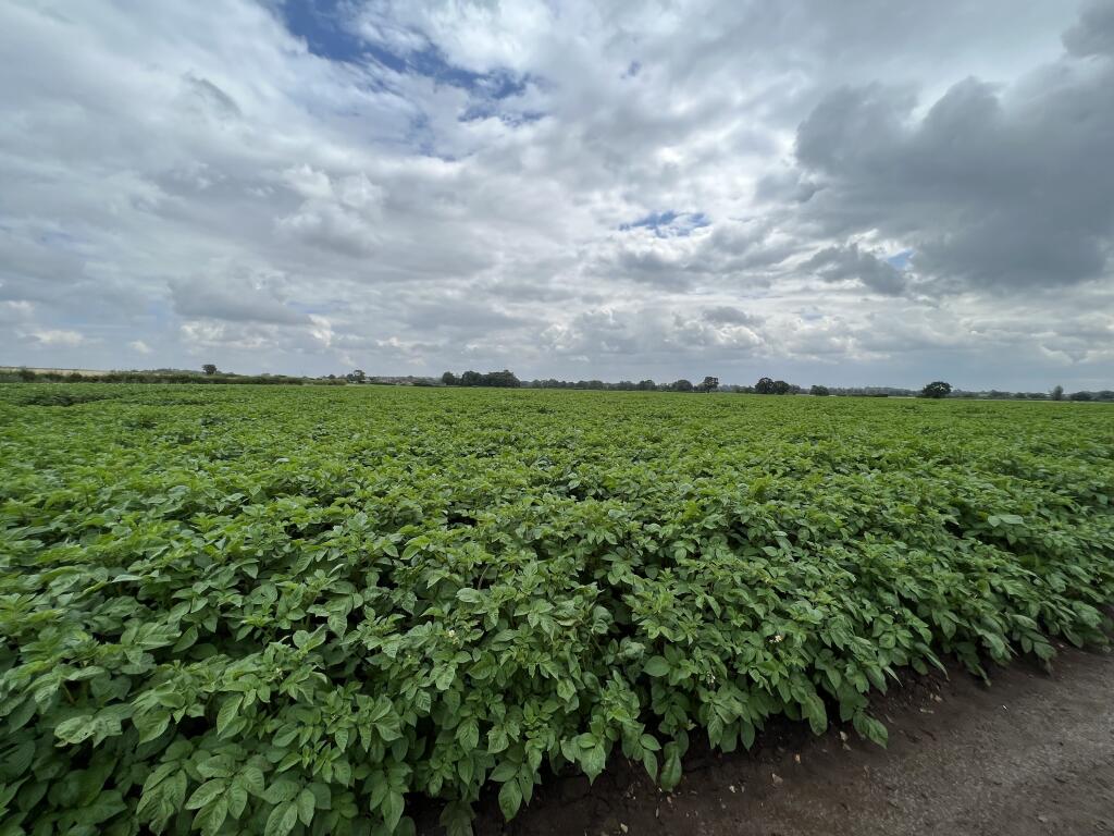 Farm land for sale in Farm Land at Vong Lane, Pott Row, PE32