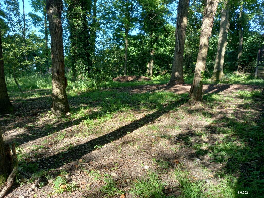 Land for sale in Woodland Adjacent to Fakenham Road, NR20