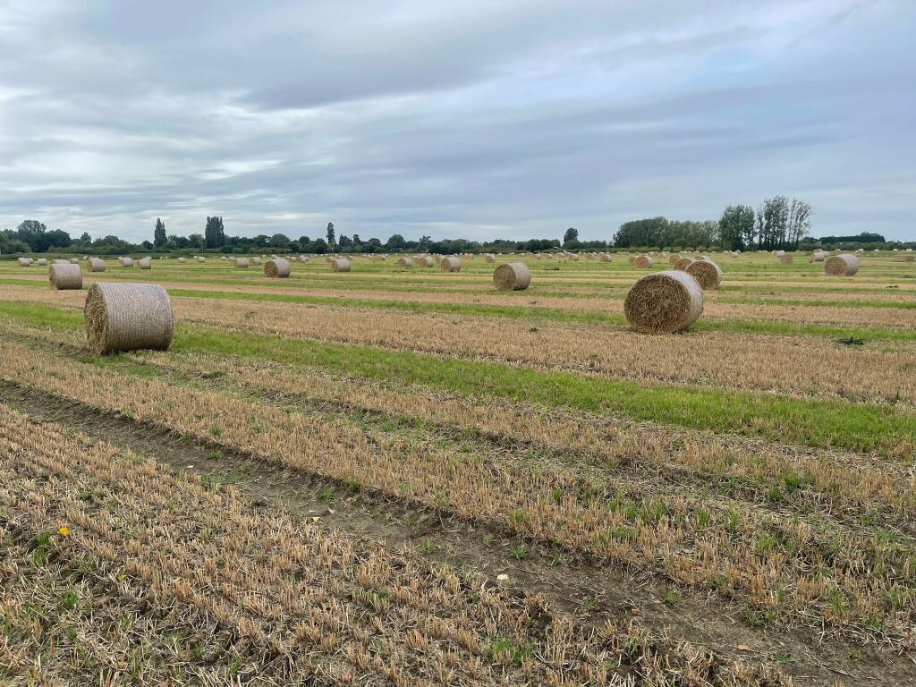 Farm land for sale in Land at Three Holes, Wisbech, PE14