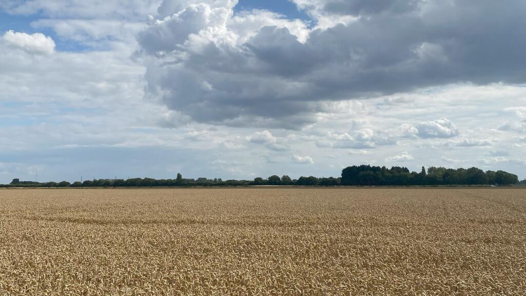 Main image of property: Grade 1 Arable Land at Tydd St. Mary, Wisbech, Lincolnshire 