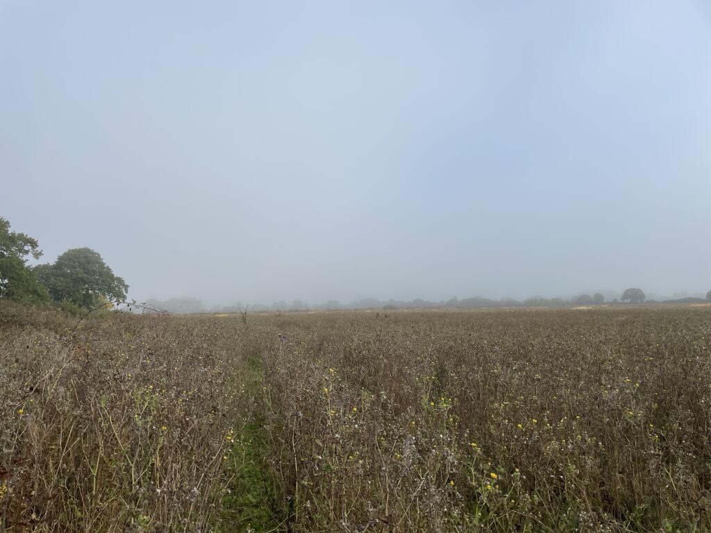 Main image of property: 36.47 acres 14.76 hectares of Amenity Land at Wentworth, Cambridge